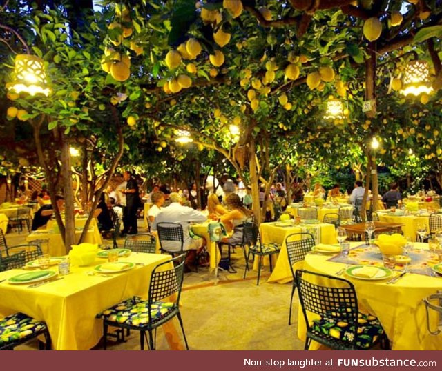 Dining under the lemon trees at Da Paolino restaurant in Capri, Italy