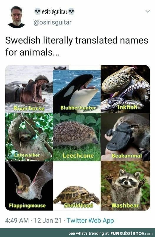 Swedish animal names translated literally