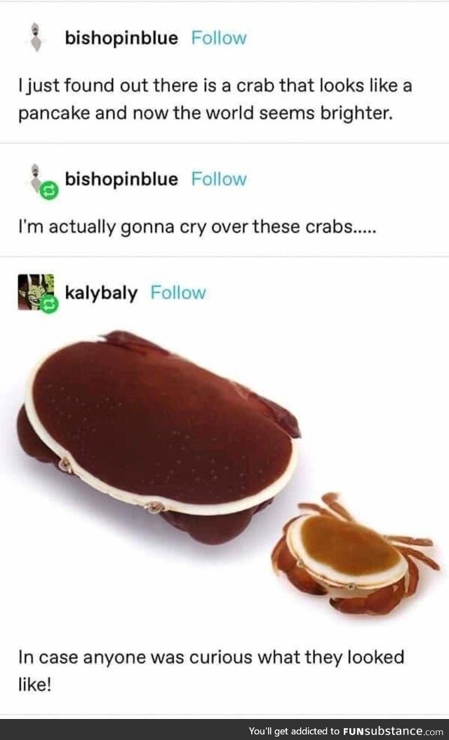 Pan-crabs