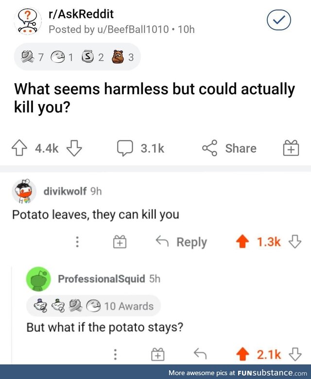 Irish potato famine