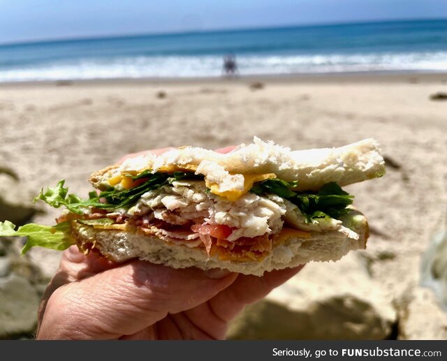 The sandwich I ate. The sand which I didn't eat