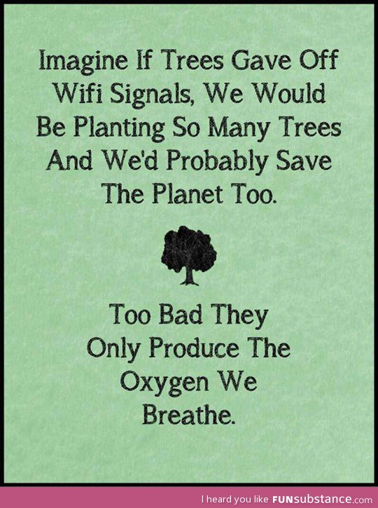 If trees gave off wi-fi