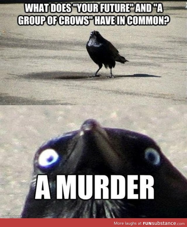 Insanity crow