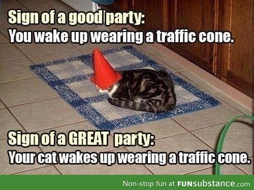 Party cat