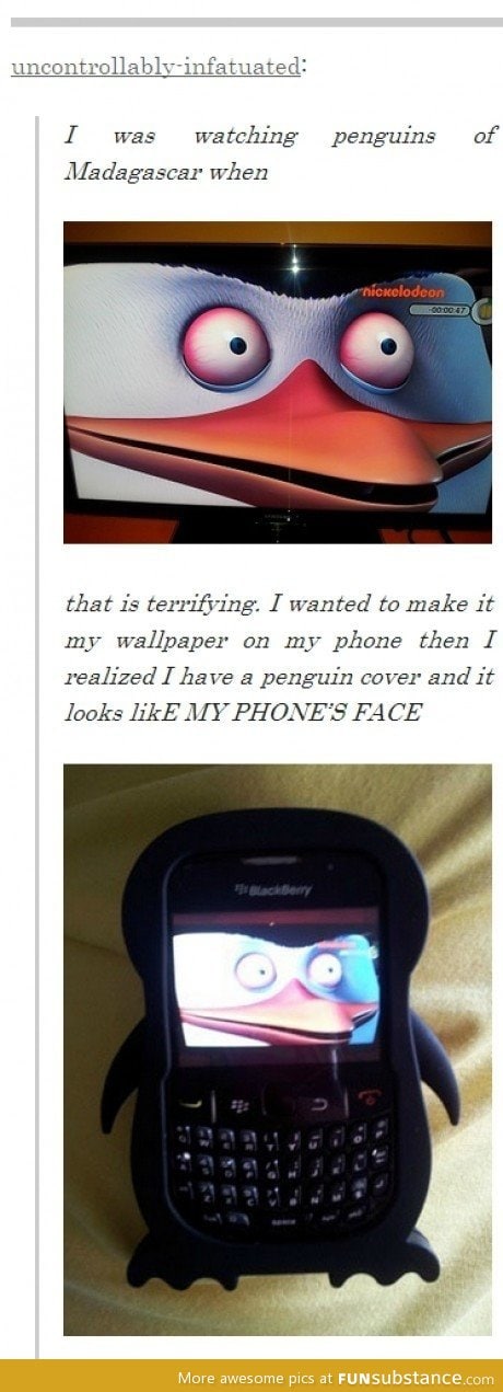 Penguin phone