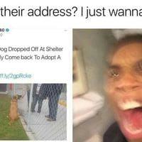 Immoral f*cktards like this can go f*ck themselves