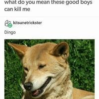 I would probably end up as kibble