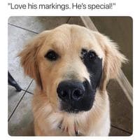 That is an awesome birthmark!