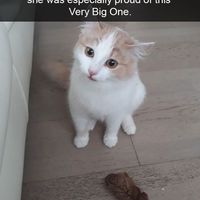 A gift? for moi?