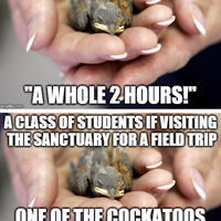 Animal sanctuary