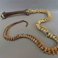 A whip made out of a spine