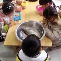 The school asked each child to bring a fish