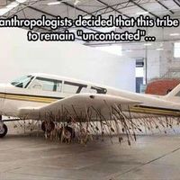 Probably a wise decision
