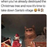 This a giant cat defying Santa and nothing else