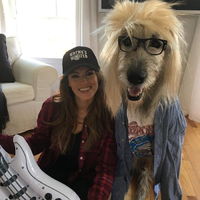 Irish wolfhounds are f**king ENORMOUS