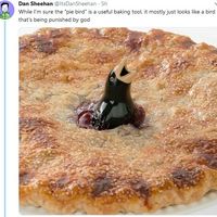 Pie bird