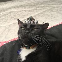 Bow peasants