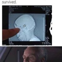 One does not simply kill a Florida Man