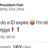 Never switched up