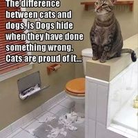 It's the truth!
