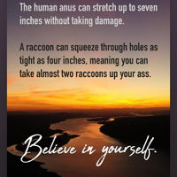 The more you know