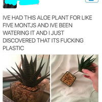 Months wasted