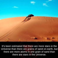 Yeah Science, B**ch