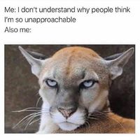 Approachability