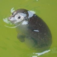 Just look at that face