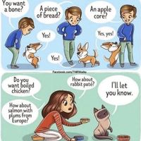 Pet ownership