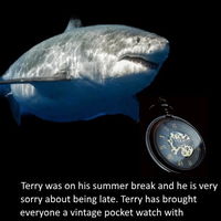 Weekly terry