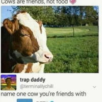 Peta got no chill