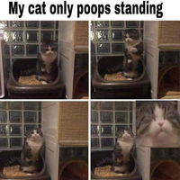 Pooping with the intensity of a 1000 burning suns