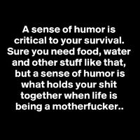 The Importance of Having a Sense of Humor