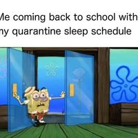 What is this "sleep schedule" you speak of?