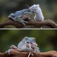 Friends or... Hey man WTF!