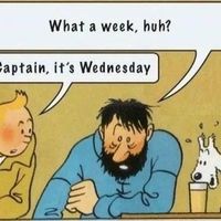 At least it's not the frog. Or... Is it?