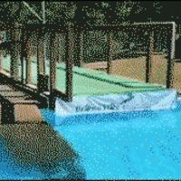 This greyhound can jump over 30ft