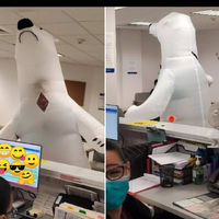This guy didn't have a mask, so he came to the orthopedist as a polar bear