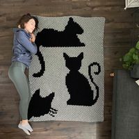 I made a cat blanket!