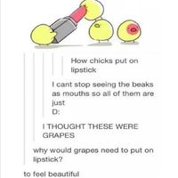 The are beautiful!