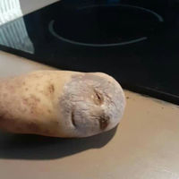 Not sure if I should cook it, throw it away, or rush to hospital?