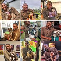 UPS Worker takes pictures with all the doggos on his route