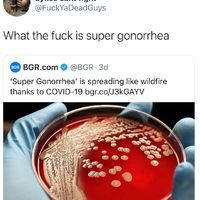 STD level 439932