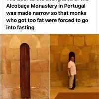 Fat monke no banana