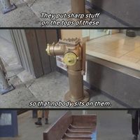 Chicago?