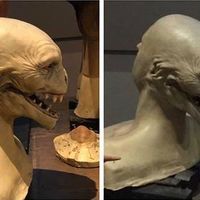 This was the first ever design of Voldemort, which I find far more terrifying