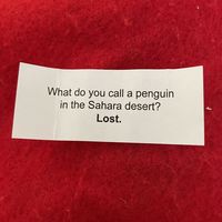 The jokes they found along the way