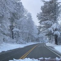 Morning commute. Cape Cod, MA (US)