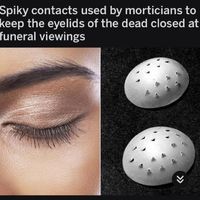 Known as oculist eye caps